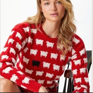 Princess Diana Warm and Wonderful for Rowing Blazers black sheep sweater